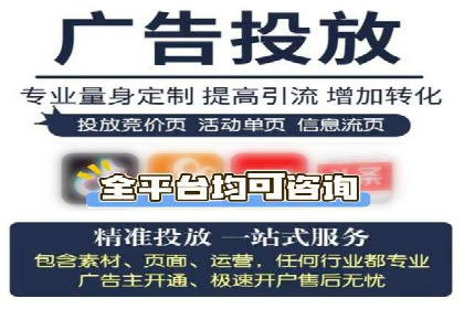知名SEM代运营公司案例解析